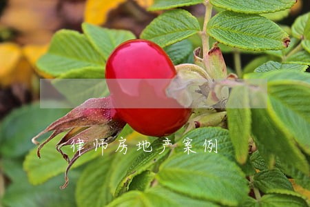 律师房地产案例 律师房地产案例