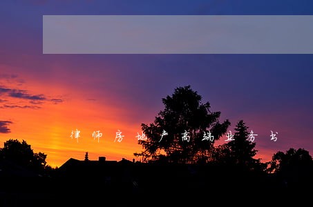 律师房地产高端业务书 律师房地产高端业务书