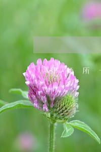 律师所一村一法律顾问工作计划 律师所一村一法律顾问工作计划