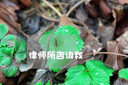 律师所咨询我 律师所咨询我