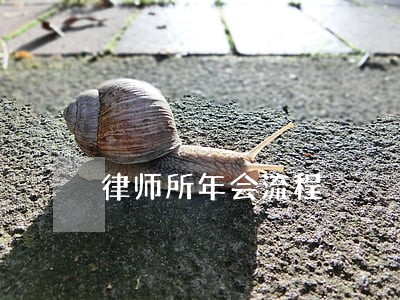 律师所年会流程 律师所年会流程