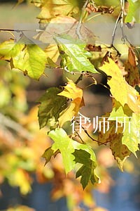律师所年会讲 律师所年会讲