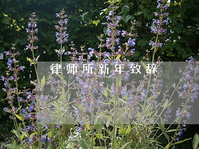 律师所新年致辞 律师所新年致辞