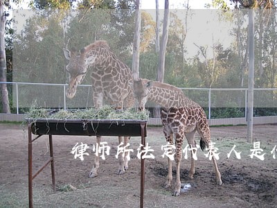 律师所法定代表人是什么工作 律师所法定代表人是什么工作