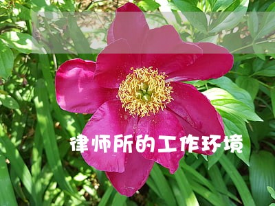 律师所的工作环境 律师所的工作环境
