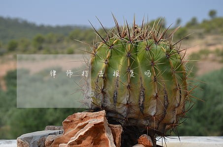 律师打击报复吗 律师打击报复吗
