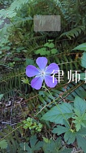 律师打房地产官司有用吗 律师打房地产官司有用吗