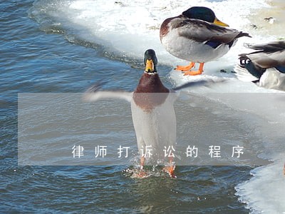 律师打诉讼的程序 律师打诉讼的程序