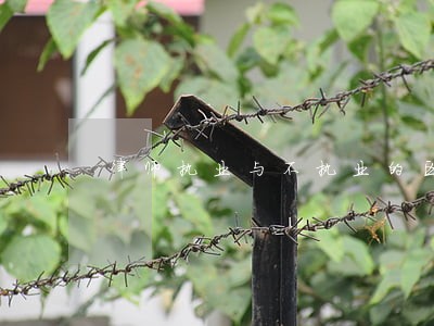 律师执业与不执业的区别 律师执业与不执业的区别