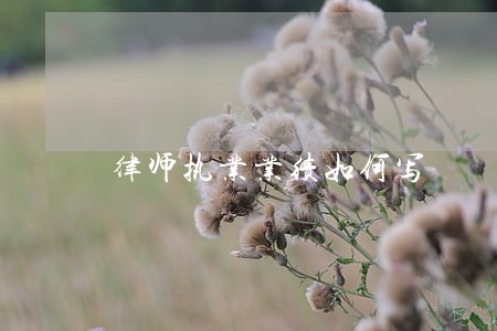 律师执业业绩如何写 律师执业业绩如何写
