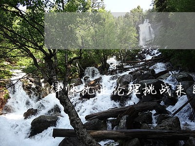 律师执业伦理挑战来自于 律师执业伦理挑战来自于