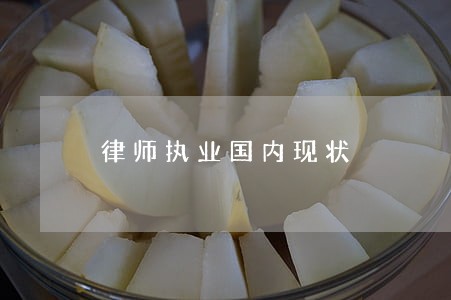 律师执业国内现状 律师执业国内现状