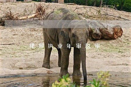 律师执业年审脱审 律师执业年审脱审
