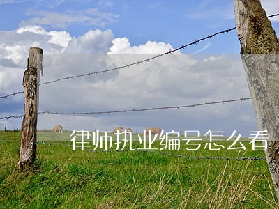 律师执业编号怎么看 律师执业编号怎么看
