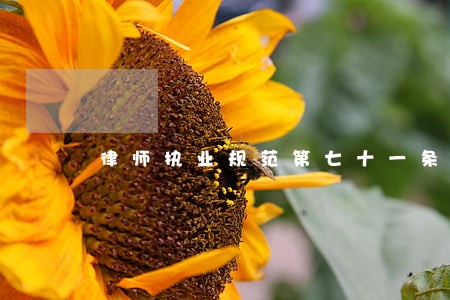律师执业规范第七十一条 律师执业规范第七十一条