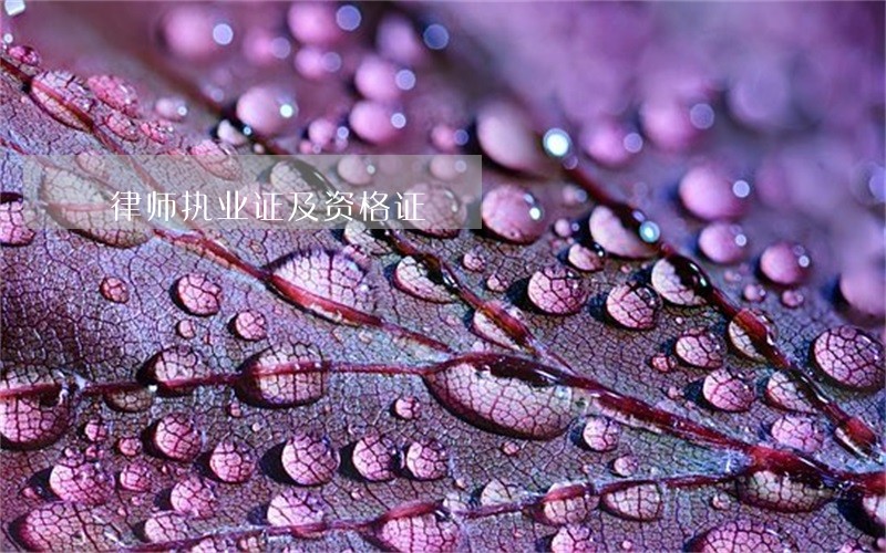 律师执业证及资格证 律师执业证及资格证