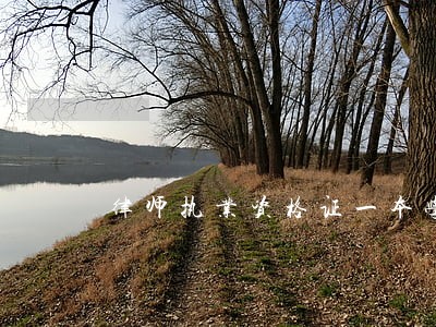 律师执业资格证一本学生 律师执业资格证一本学生