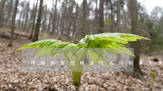 律师执业资格证什么时候发下来 律师执业资格证什么时候发下来