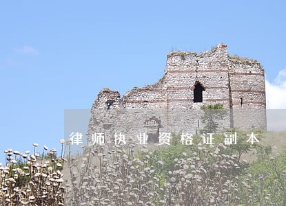律师执业资格证副本 律师执业资格证副本