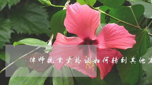 律师执业资格证如何转到其他省 律师执业资格证如何转到其他省