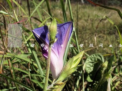 律师承办法律顾问业务操作指引 律师承办法律顾问业务操作指引