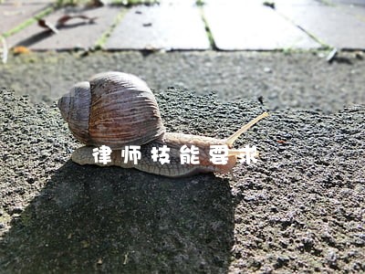 律师技能要求 律师技能要求
