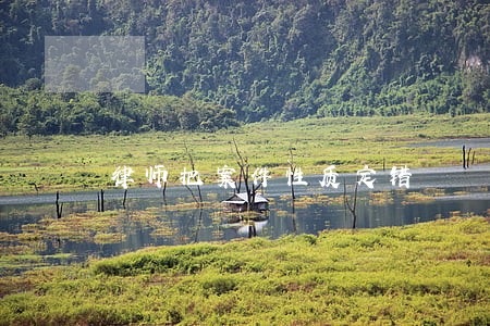律师把案件性质定错 律师把案件性质定错