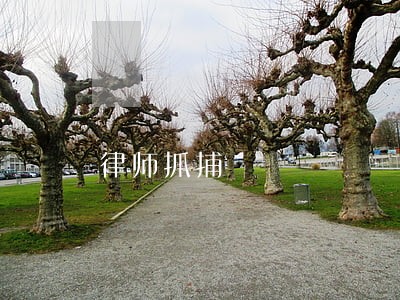 律师抓捕 律师抓捕