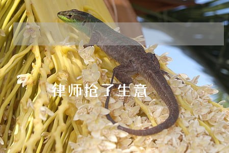 律师抢了生意 律师抢了生意