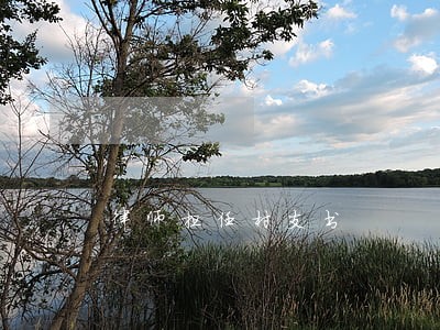 律师担任村支书 律师担任村支书