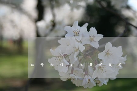 律师担任法律顾问规范 律师担任法律顾问规范