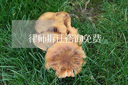 律师拆迁咨询免费