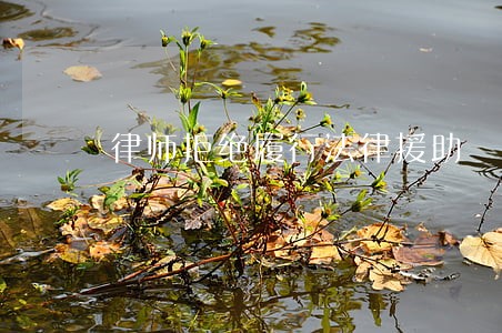 律师拒绝履行法律援助 律师拒绝履行法律援助