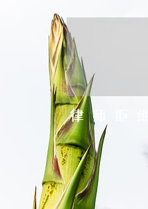 律师拒绝辩护权完善 律师拒绝辩护权完善
