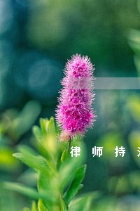 律师持法院调令银行不配合