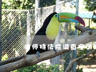 律师持法院调查令可以上银行查询 律师持法院调查令可以上银行查询