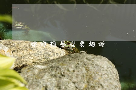 律师指导我要起诉 律师指导我要起诉