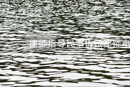 律师指导民事诉讼律师事务所