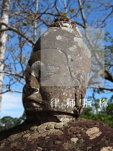 律师指称涉嫌违法 律师指称涉嫌违法