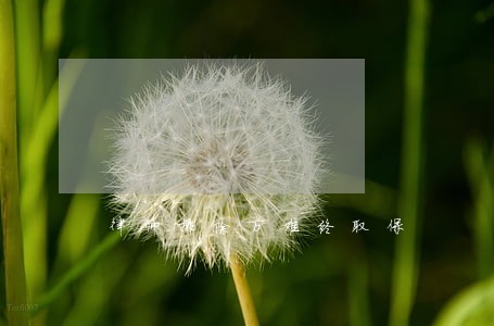 律师排除万难终取保 律师排除万难终取保