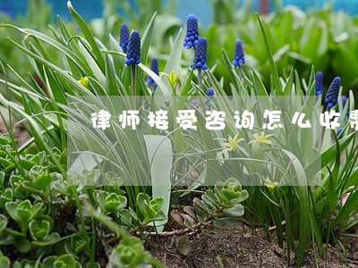 律师接受咨询怎么收费 律师接受咨询怎么收费