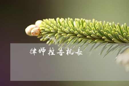律师控告机长 律师控告机长