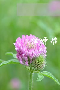 律师推荐 律师推荐