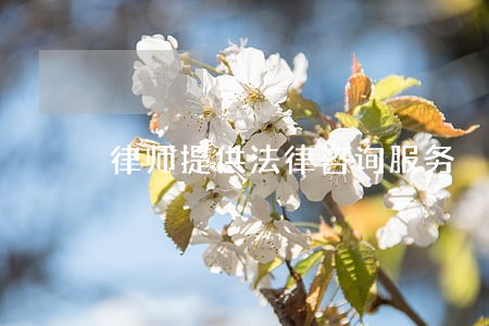 律师提供法律咨询服务 律师提供法律咨询服务