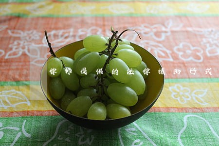 律师提供的法律援助形式