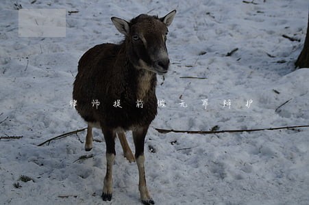 律师提前做无罪辩护 律师提前做无罪辩护