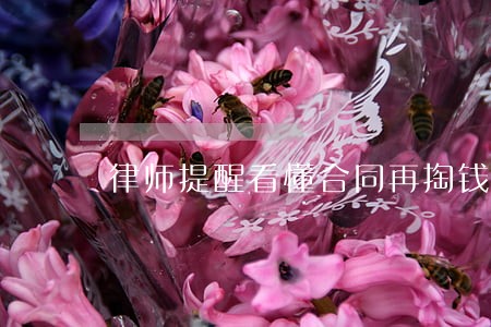 律师提醒看懂合同再掏钱 律师提醒看懂合同再掏钱