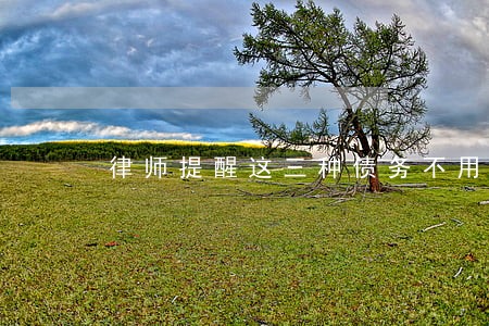 律师提醒这三种债务不用还 律师提醒这三种债务不用还