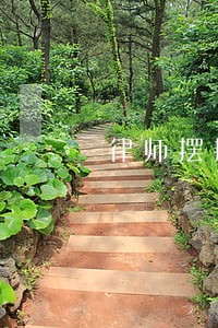 律师摆摊请认真实践 律师摆摊请认真实践