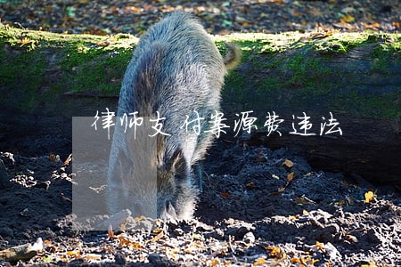律师支付案源费违法 律师支付案源费违法